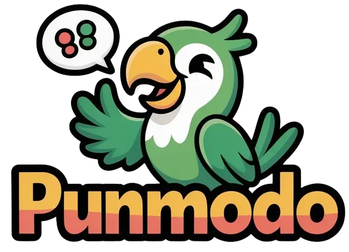 punmodo.com
