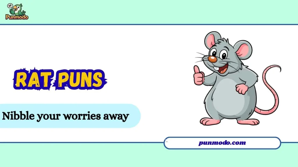 rat puns