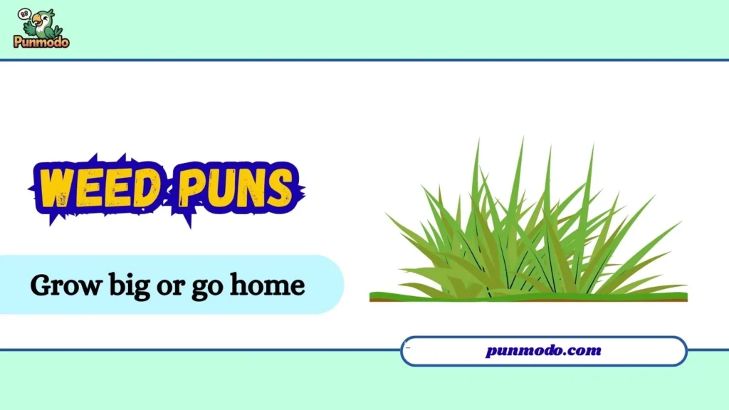 weed puns